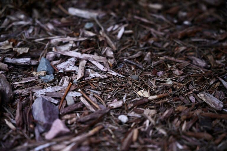 how to clean composite decking 10