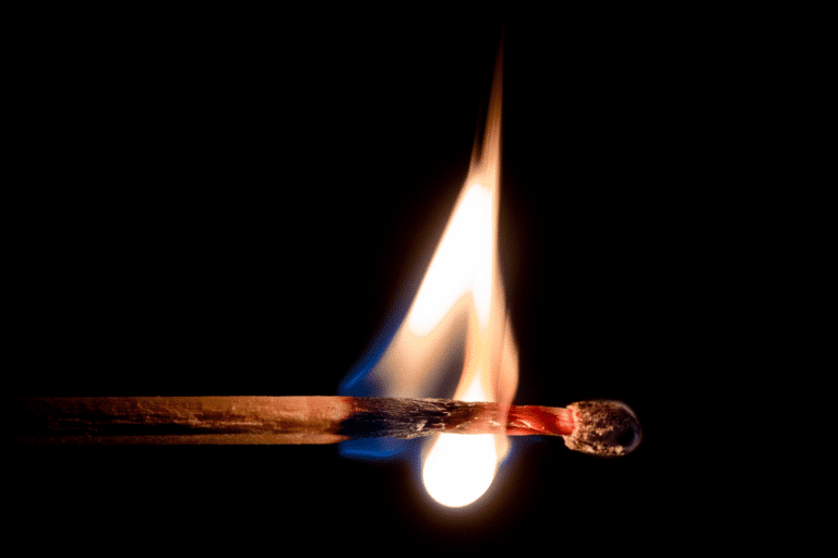 fire burning wood