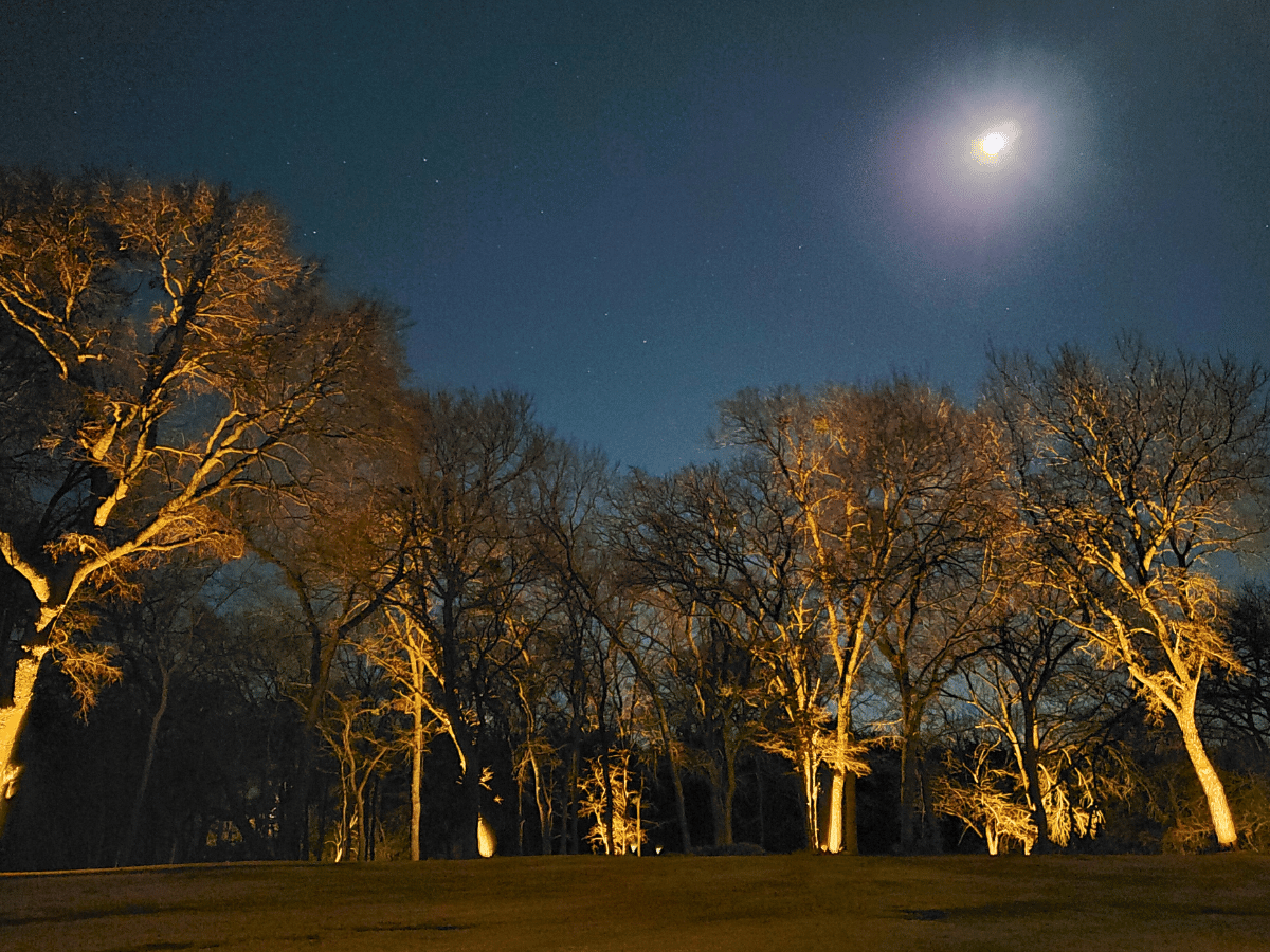 Uplighting for your backyard to light your deck